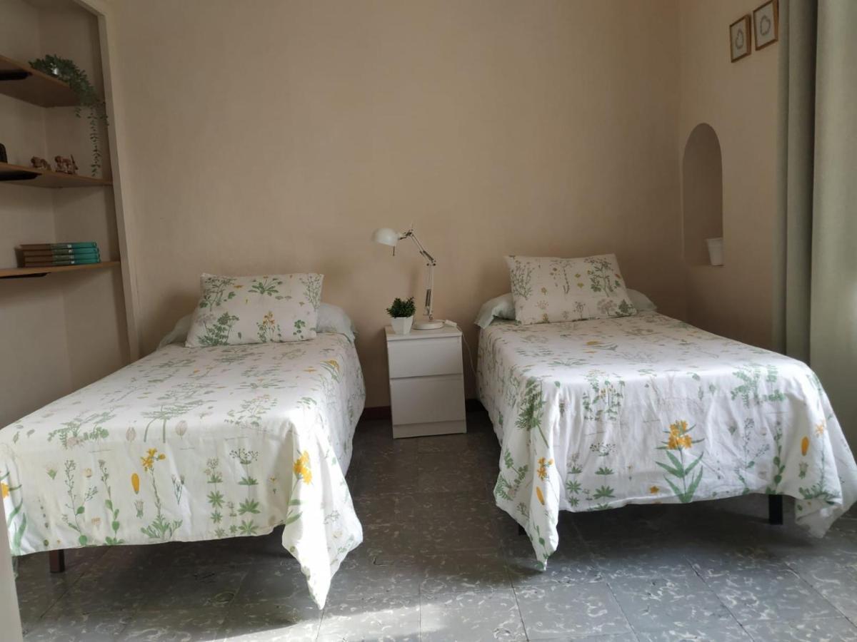 Sant Carlos de la RàpitaAlfacsアパートメント エクステリア 写真