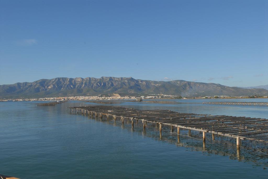 Sant Carlos de la RàpitaAlfacsアパートメント エクステリア 写真